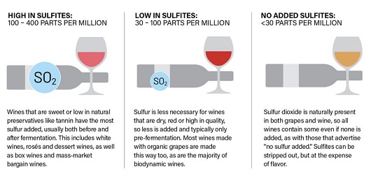 Beverage Dynamics