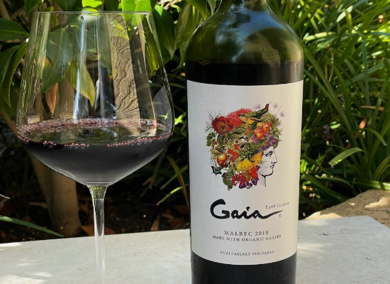 Domaine Bousquet Gaia Organic Malbec