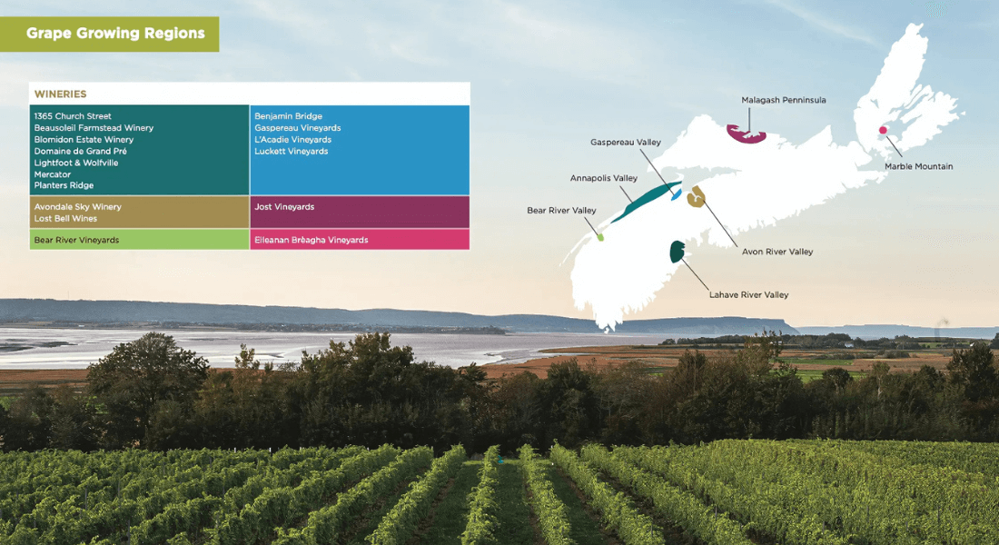 Nova Scotia wine growing regions